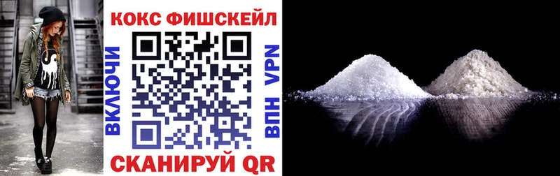 COCAIN FishScale  Купить закладки  Арсеньев 