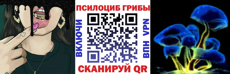 Купить закладки  Арсеньев  Псилоцибиновые грибы мицелий 